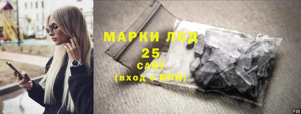 индика Нея