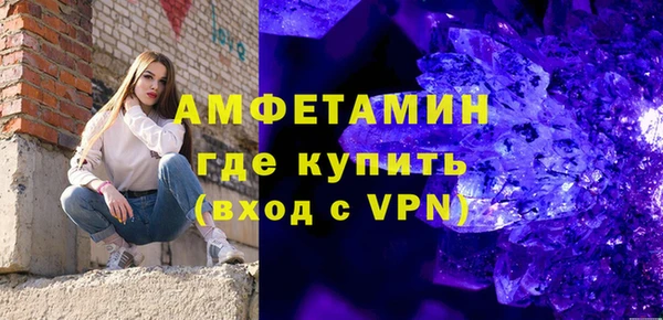 индика Нея