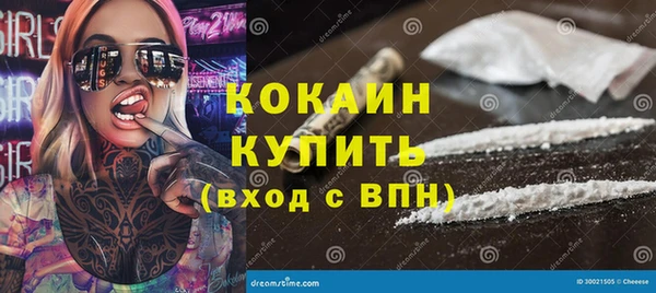 индика Нея